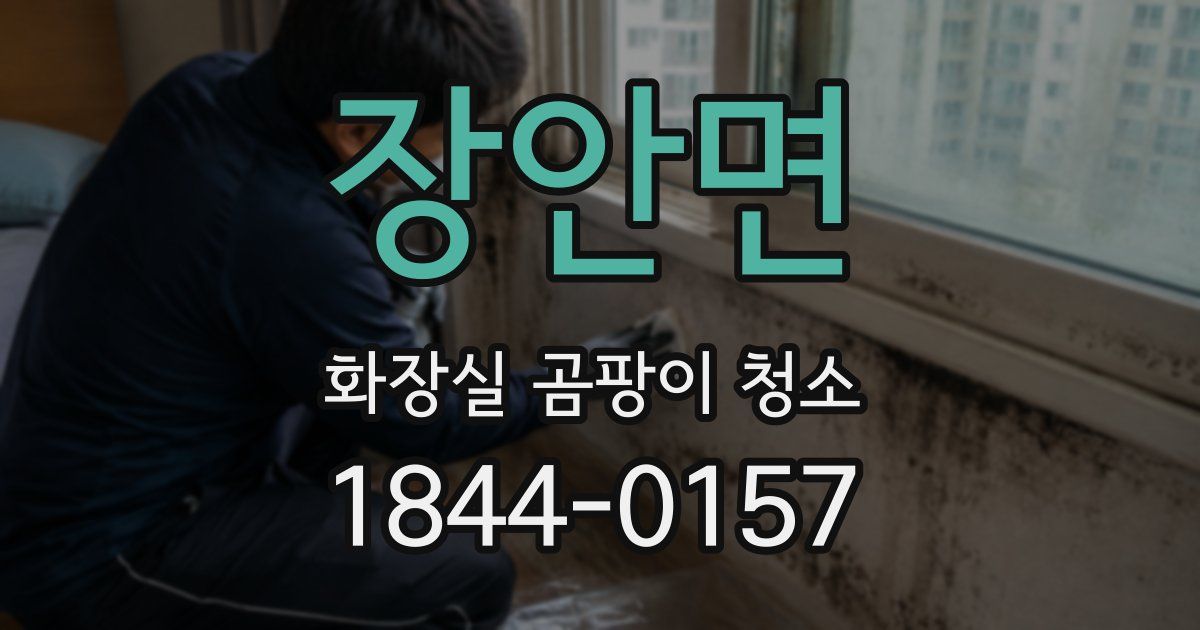 장안면 화장실 곰팡이 청소