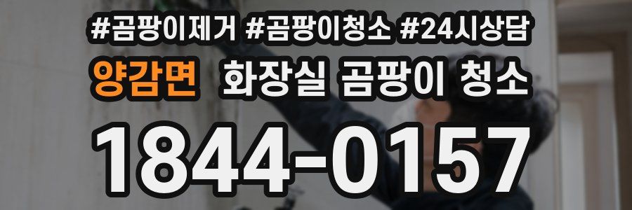 양감면 화장실 곰팡이 청소