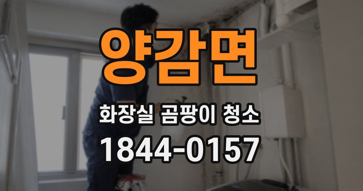 양감면 화장실 곰팡이 청소