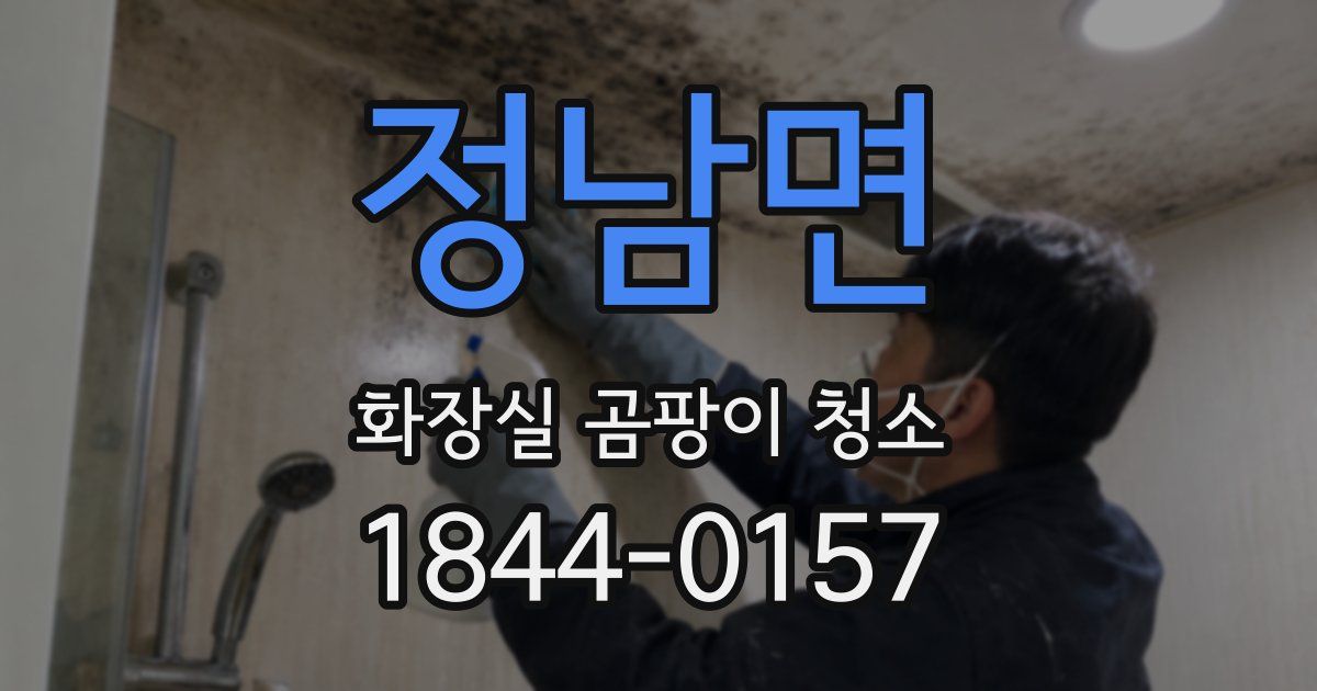 정남면 화장실 곰팡이 청소