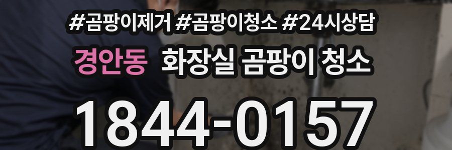 경안동 화장실 곰팡이 청소