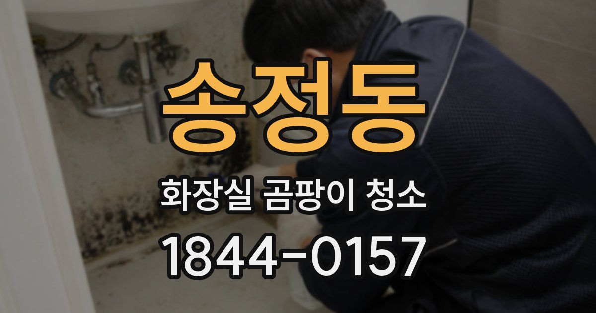 송정동 화장실 곰팡이 청소