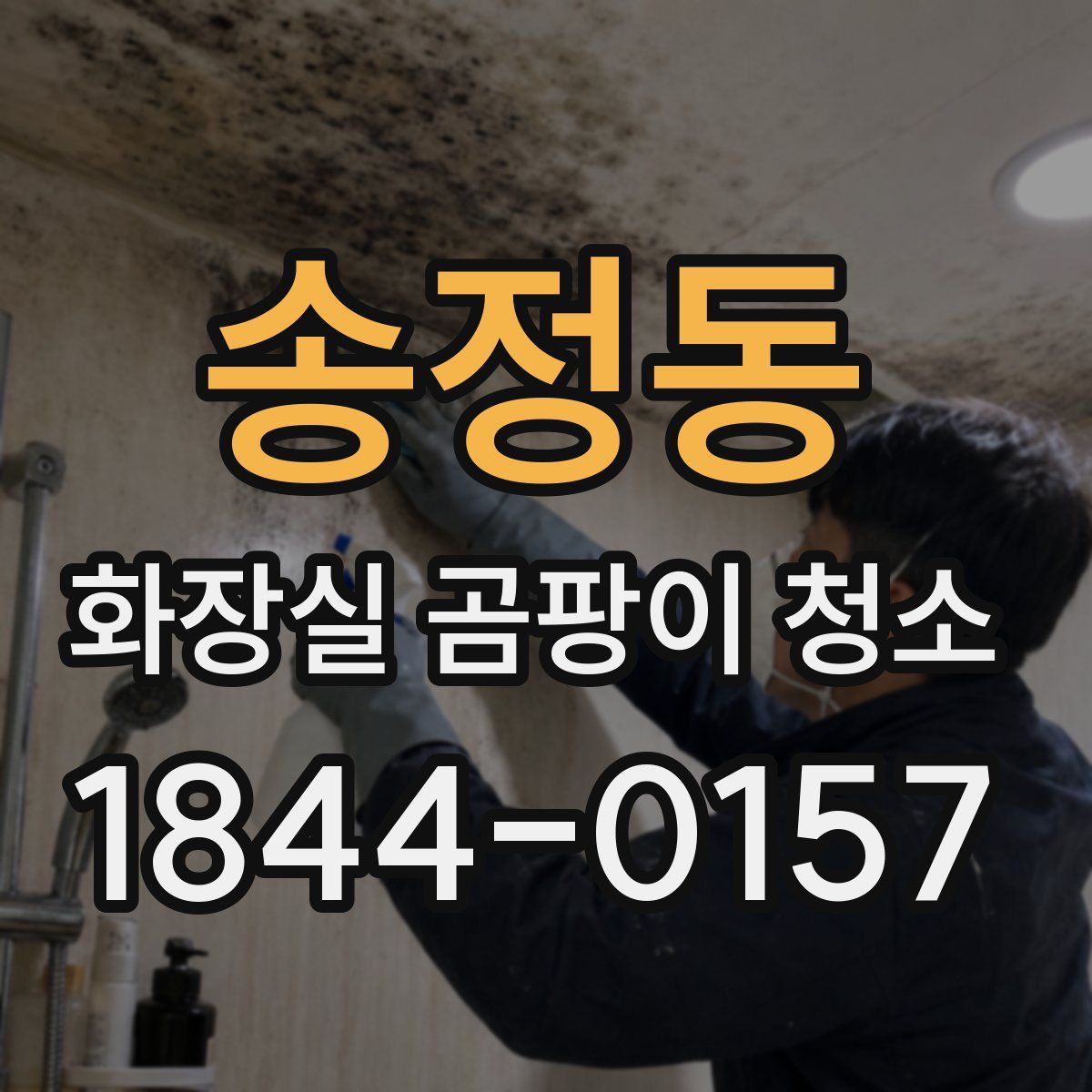 송정동 화장실 곰팡이 청소