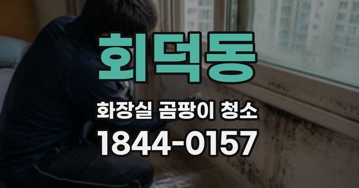 회덕동 화장실 곰팡이 청소