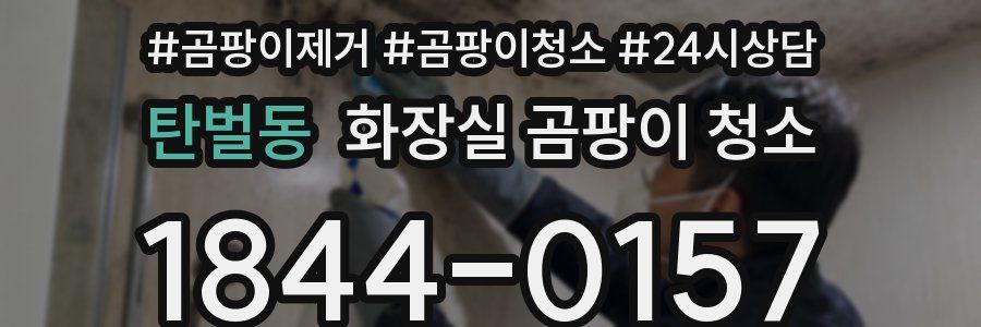 탄벌동 화장실 곰팡이 청소