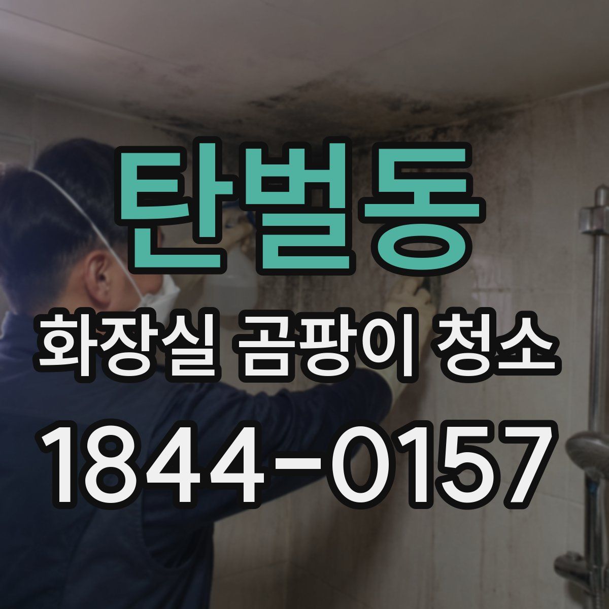 탄벌동 화장실 곰팡이 청소