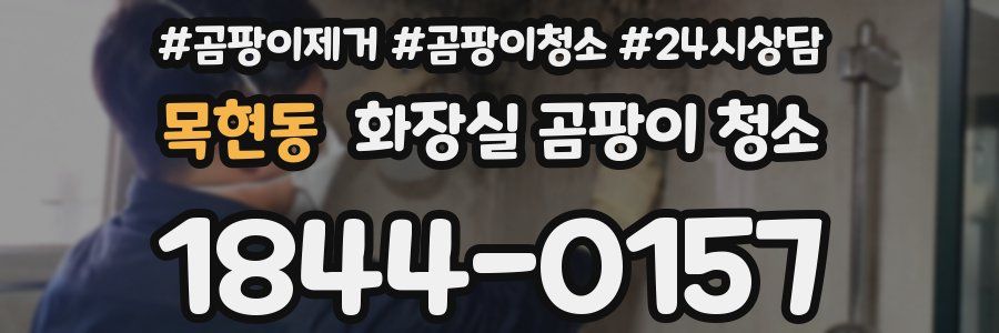 목현동 화장실 곰팡이 청소