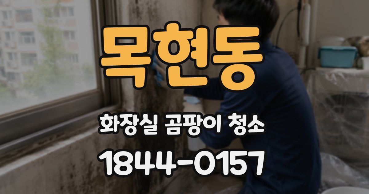목현동 화장실 곰팡이 청소