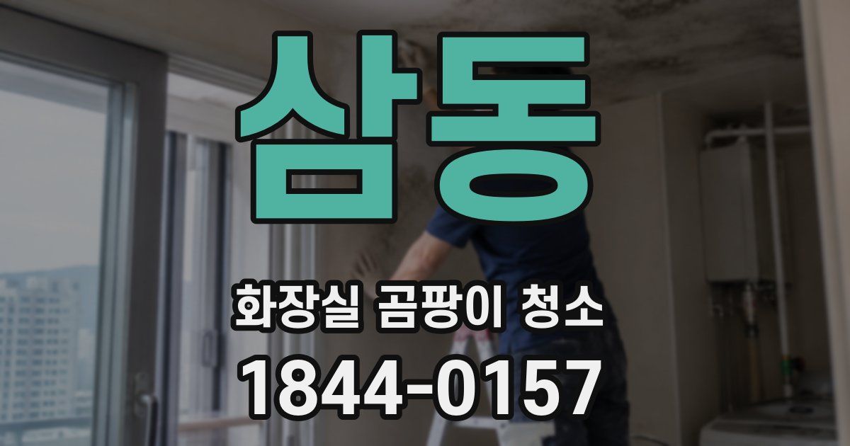 삼동 화장실 곰팡이 청소