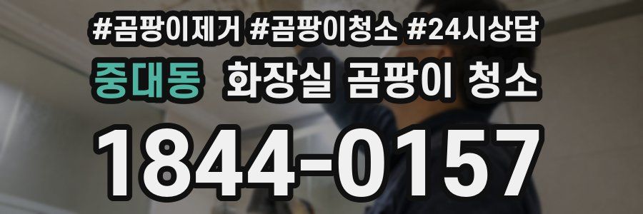 중대동 화장실 곰팡이 청소