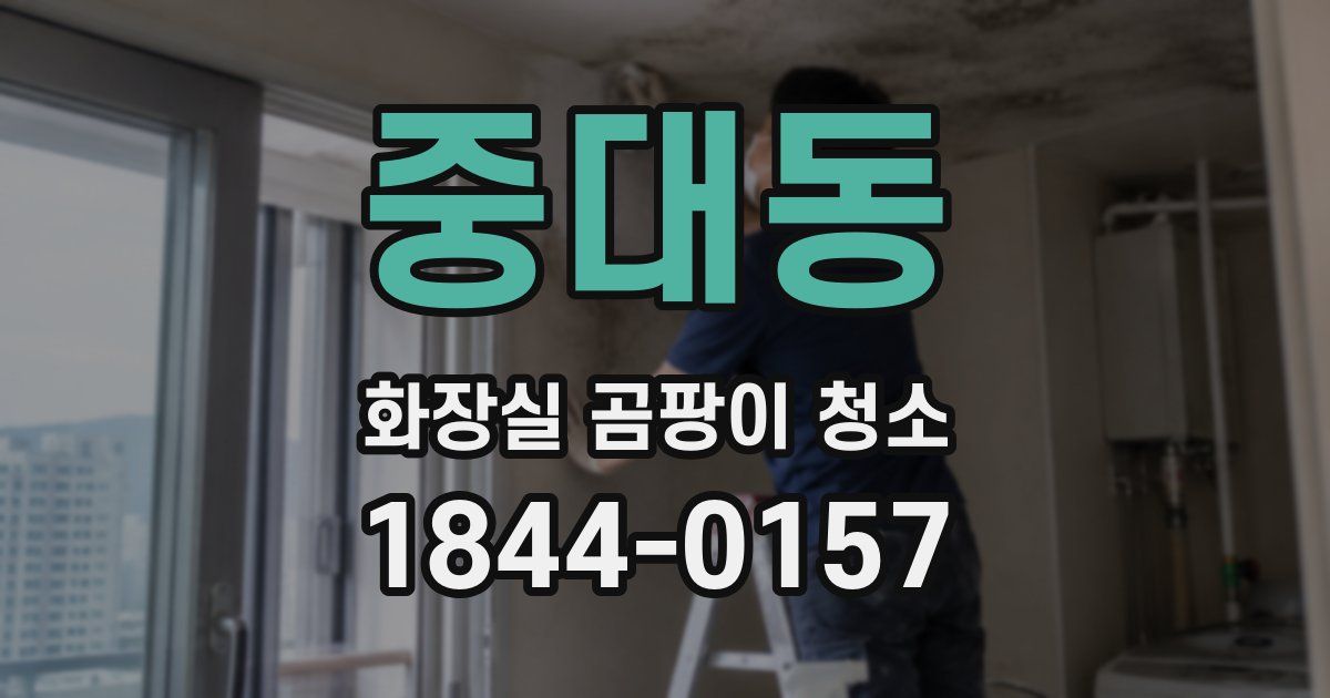 중대동 화장실 곰팡이 청소