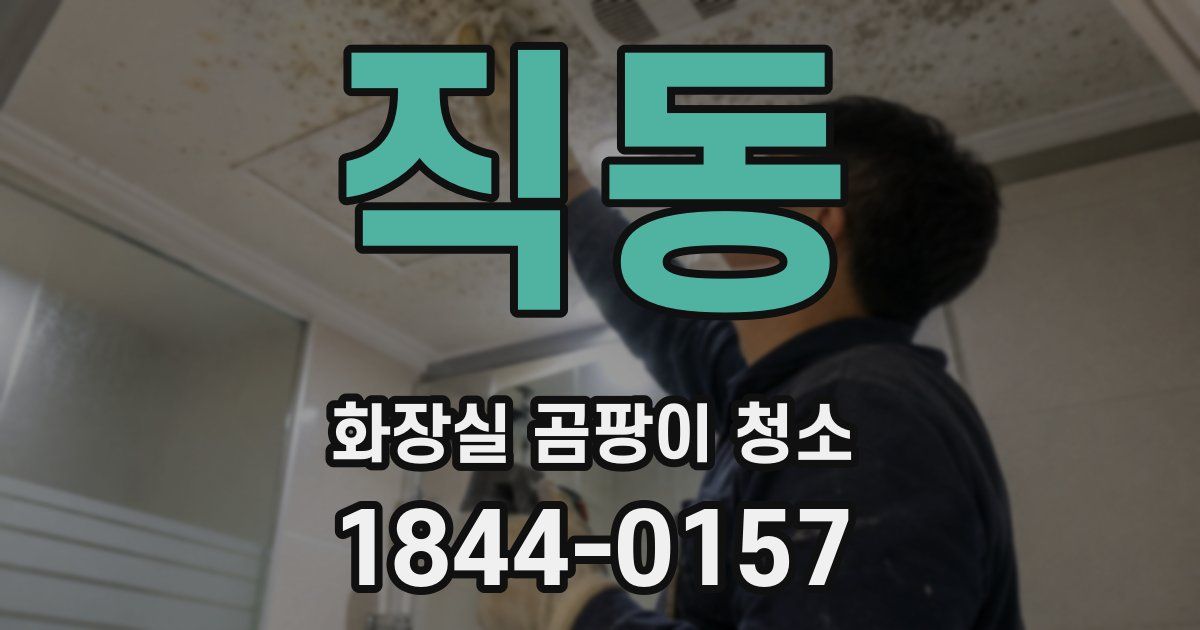직동 화장실 곰팡이 청소