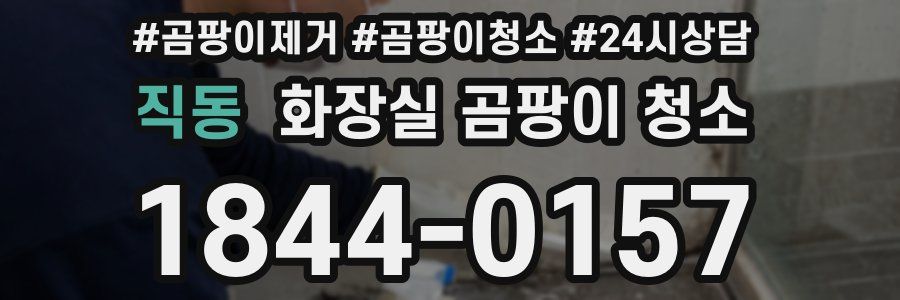 직동 화장실 곰팡이 청소