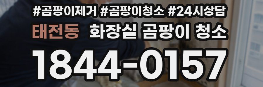 태전동 화장실 곰팡이 청소