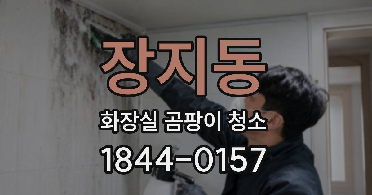 장지동 화장실 곰팡이 청소
