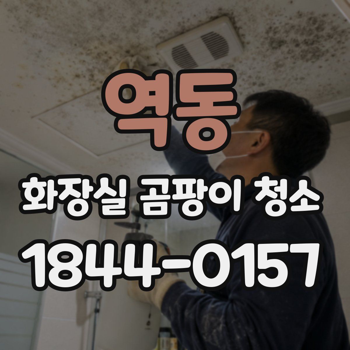 역동 화장실 곰팡이 청소
