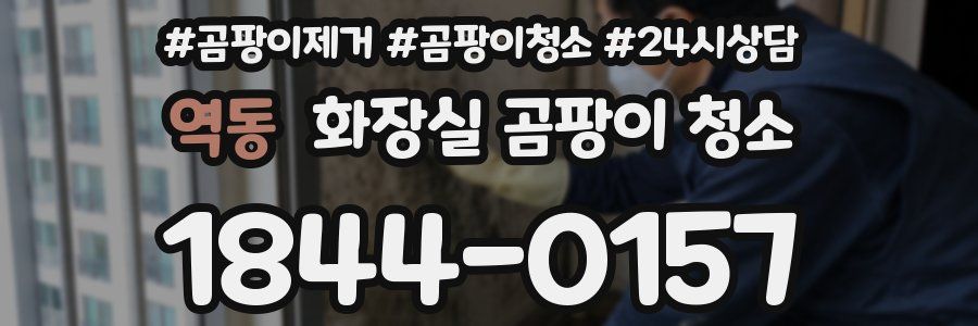 역동 화장실 곰팡이 청소