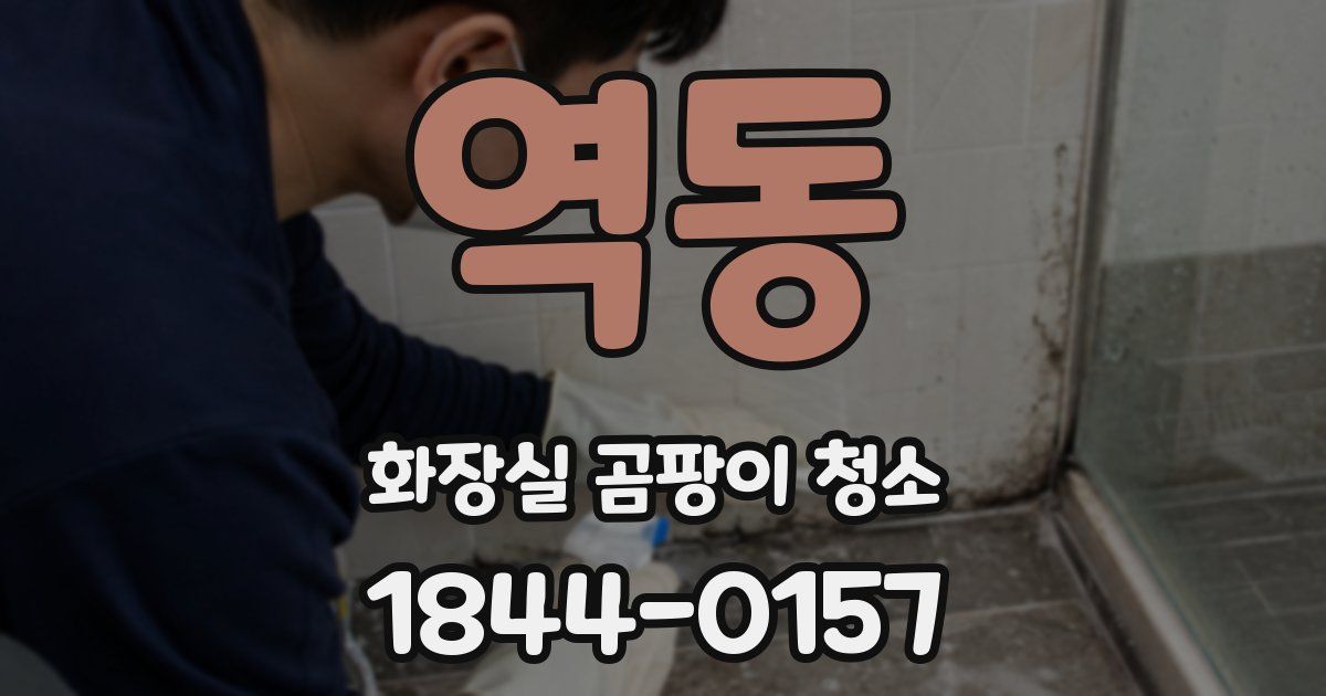 역동 화장실 곰팡이 청소