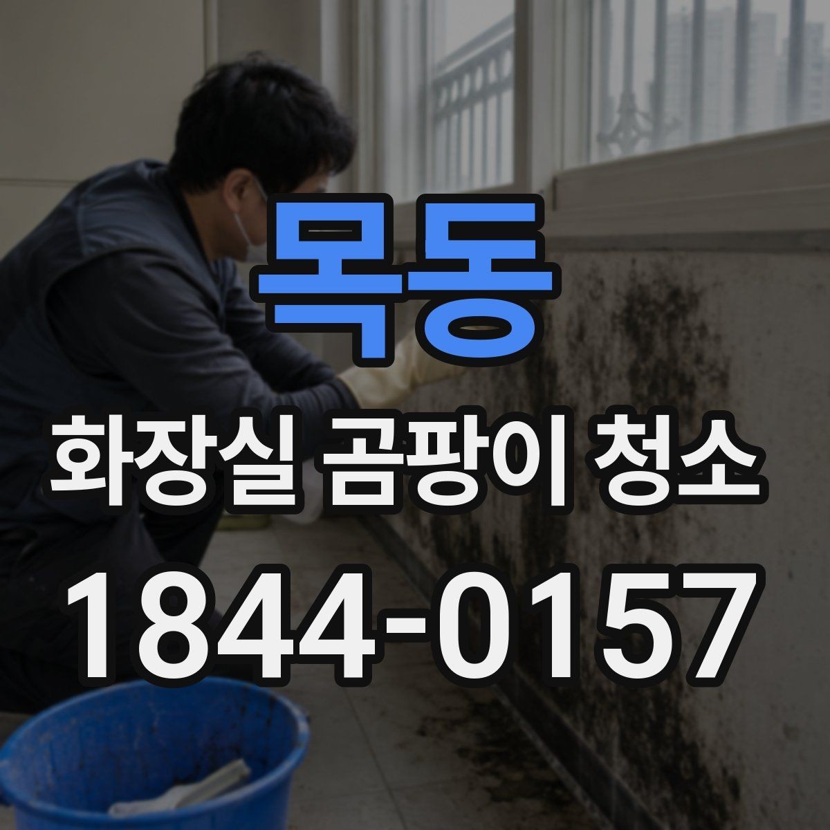 목동 화장실 곰팡이 청소 장마철 욕실에서 먼저 볼 곳
