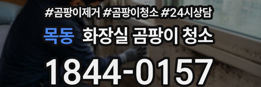 목동 화장실 곰팡이 청소
