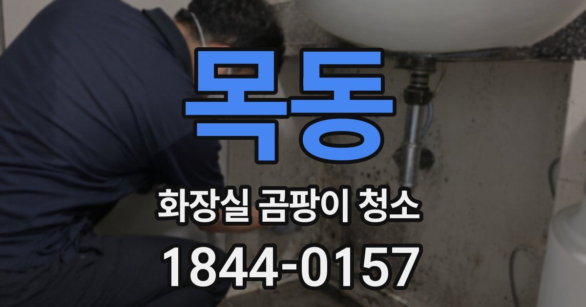 목동 화장실 곰팡이 청소