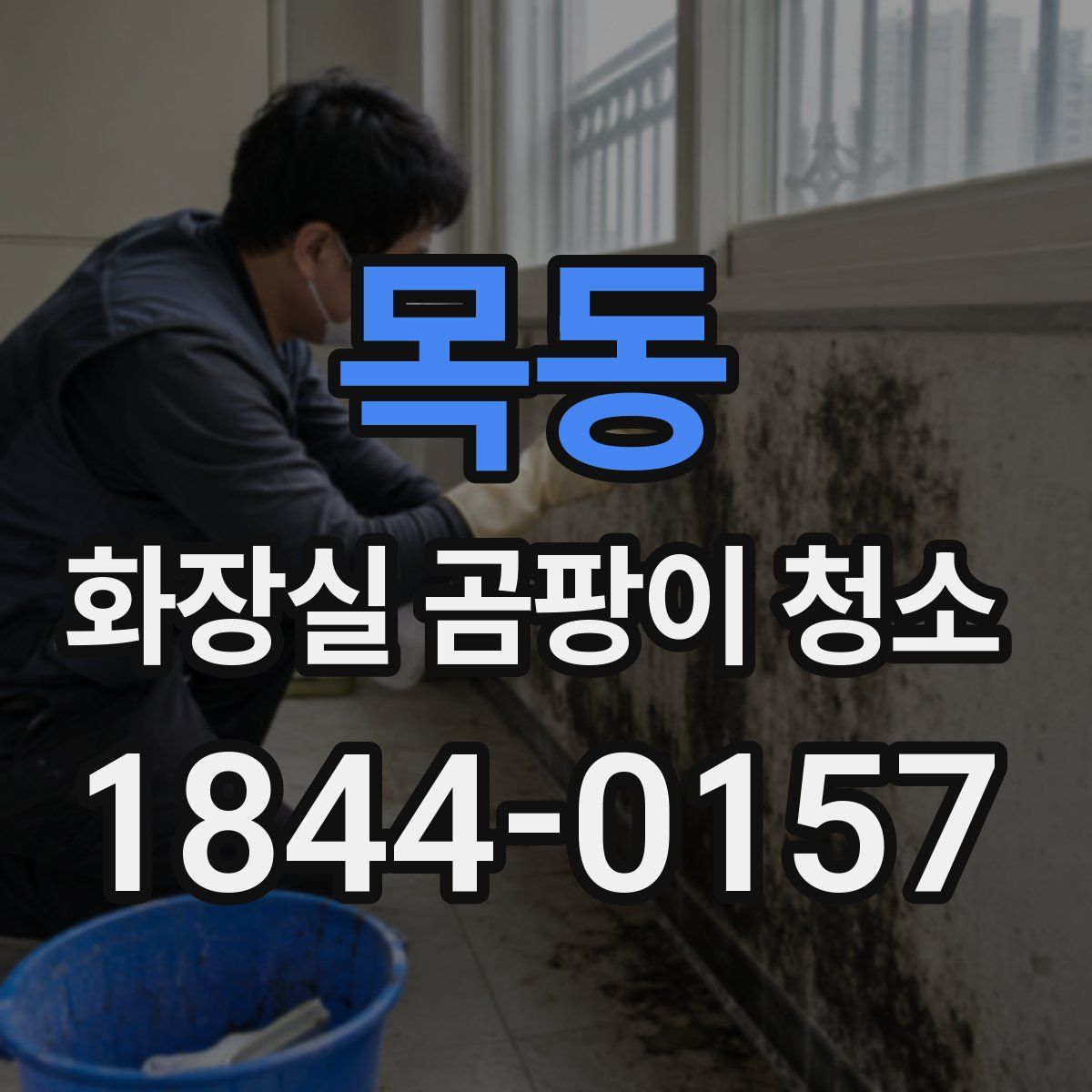 목동 화장실 곰팡이 청소