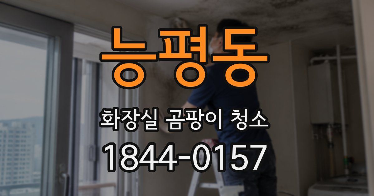 능평동 화장실 곰팡이 청소