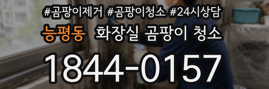 능평동 화장실 곰팡이 청소