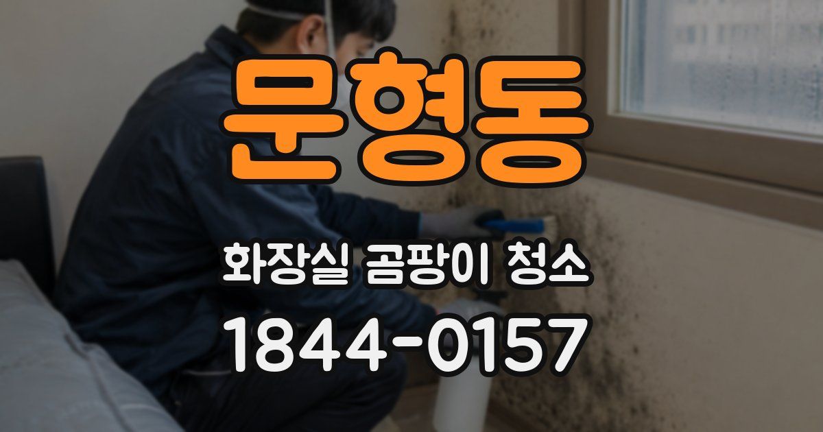 문형동 화장실 곰팡이 청소