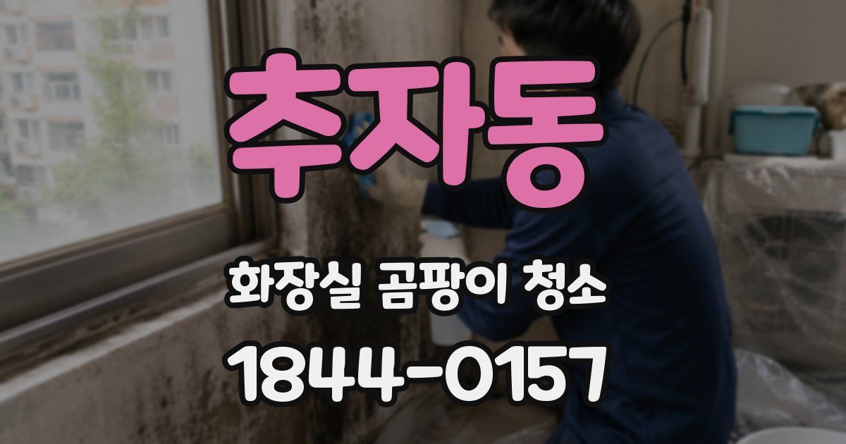 추자동 화장실 곰팡이 청소