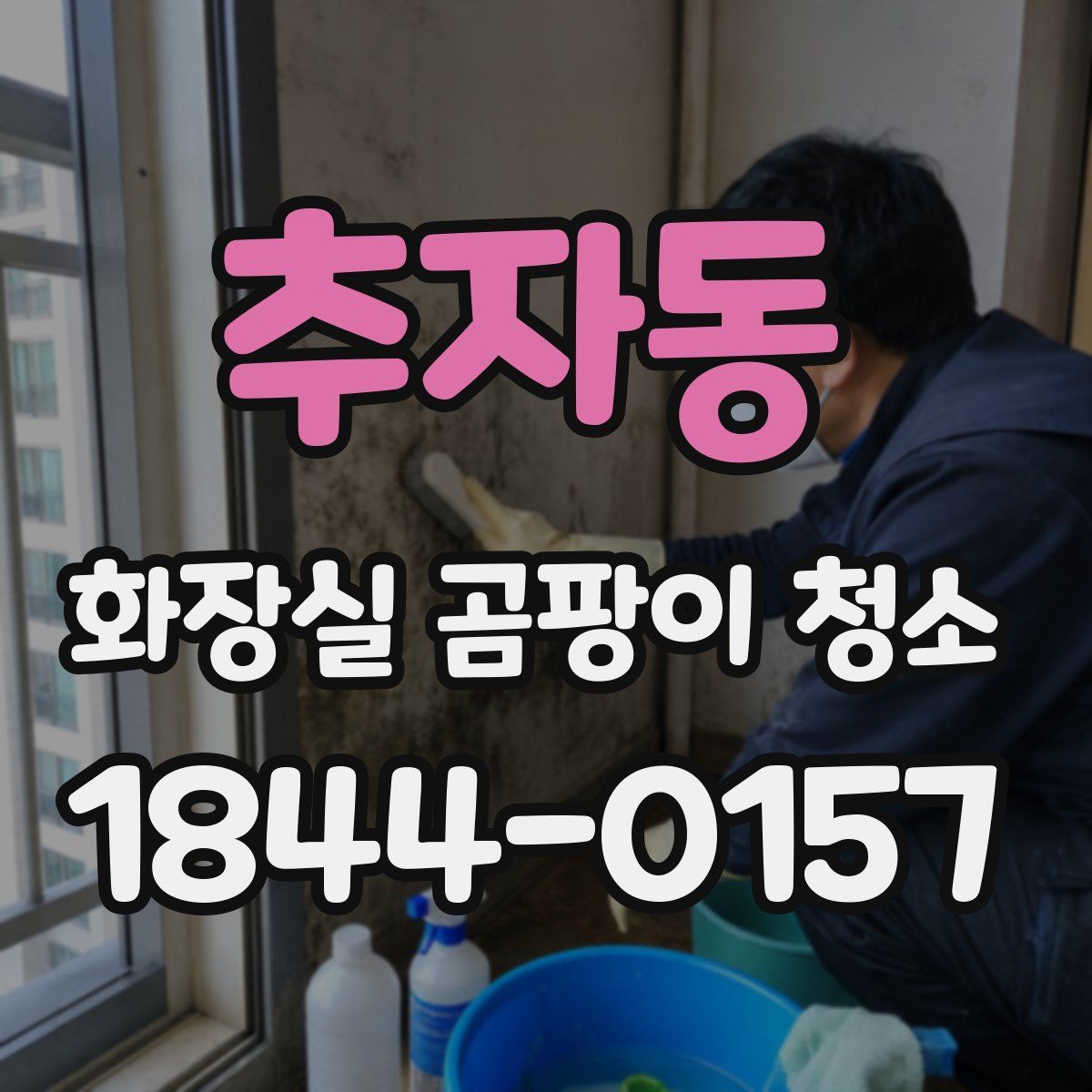 추자동 화장실 곰팡이 청소
