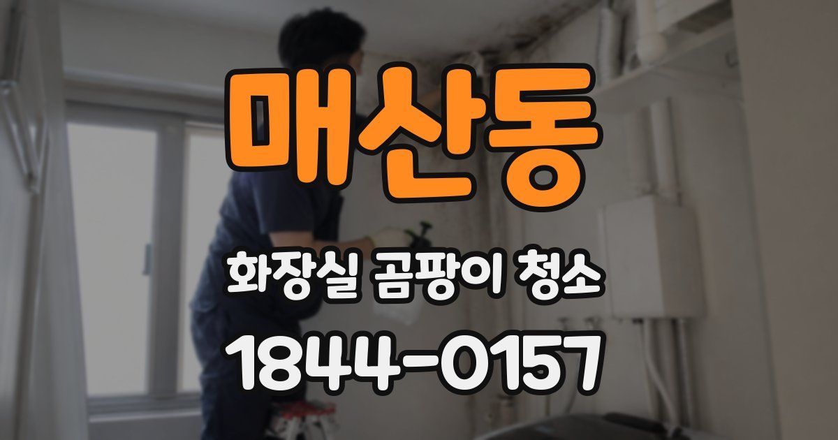 매산동 화장실 곰팡이 청소