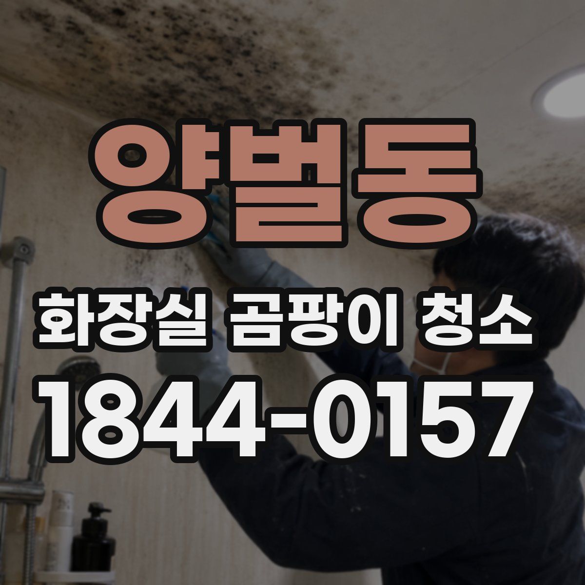 양벌동 화장실 곰팡이 청소