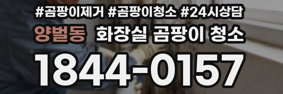 양벌동 화장실 곰팡이 청소