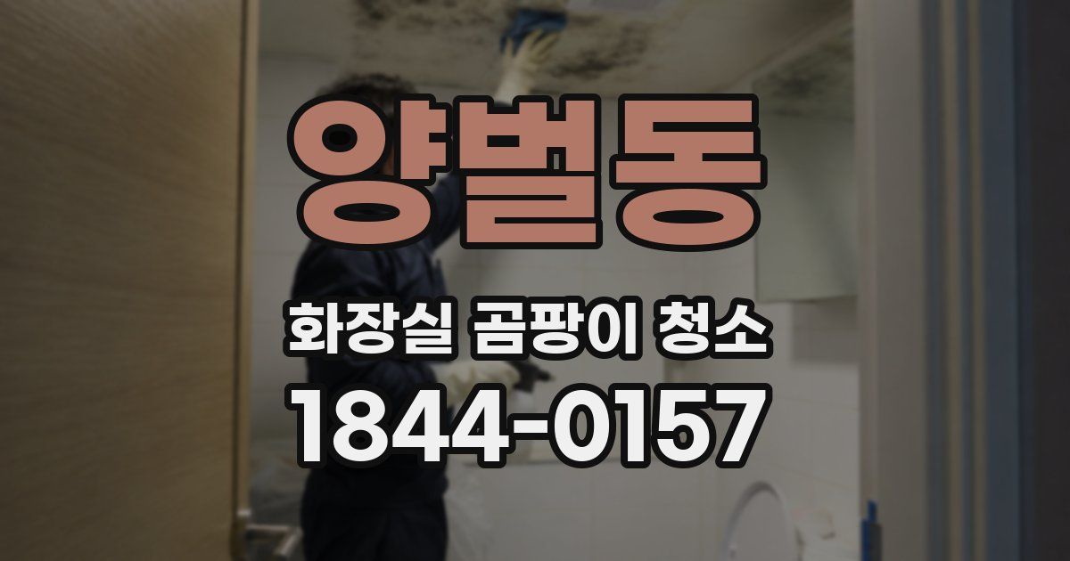 양벌동 화장실 곰팡이 청소
