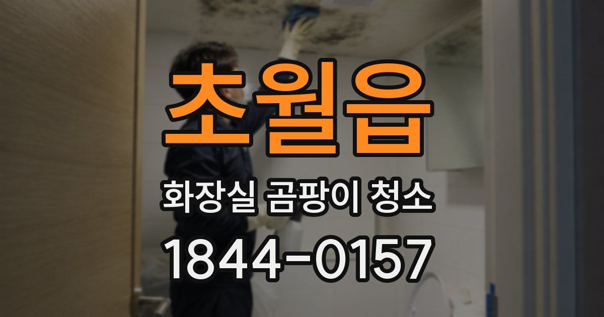 초월읍 화장실 곰팡이 청소