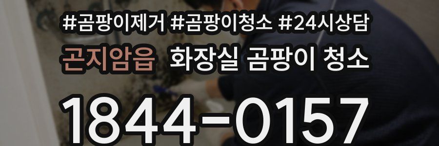 곤지암읍 화장실 곰팡이 청소
