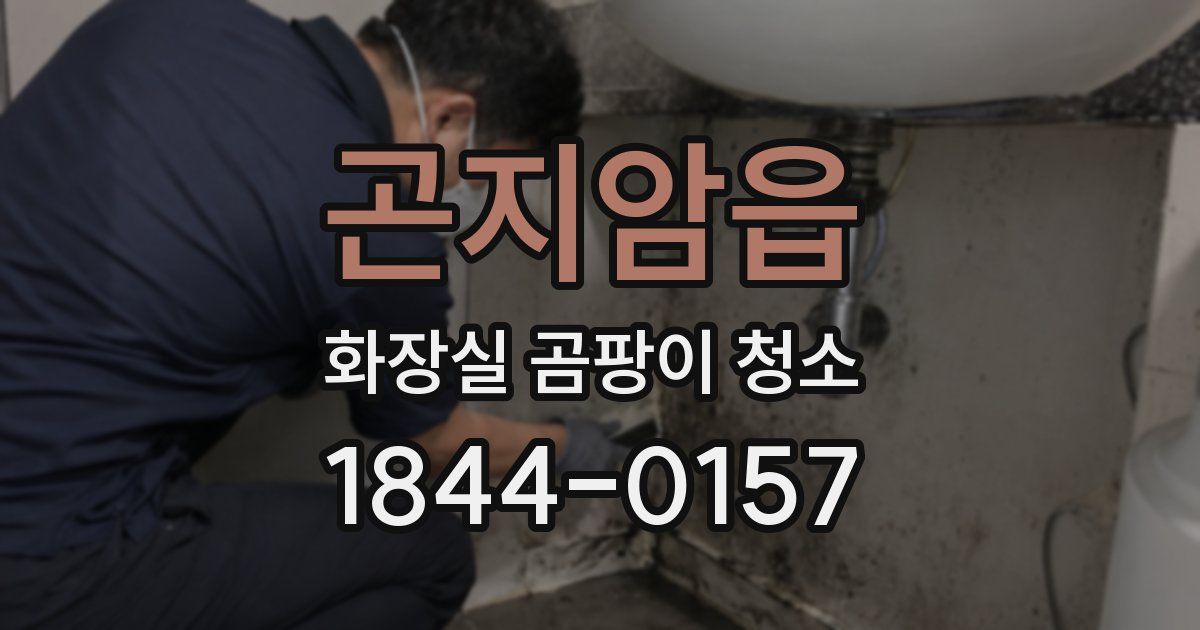 곤지암읍 화장실 곰팡이 청소