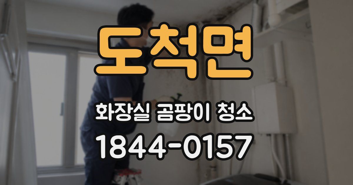 도척면 화장실 곰팡이 청소