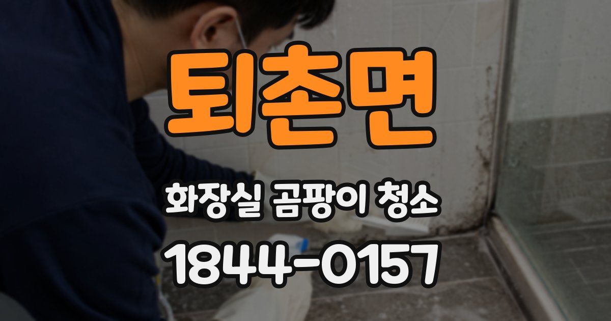 퇴촌면 화장실 곰팡이 청소