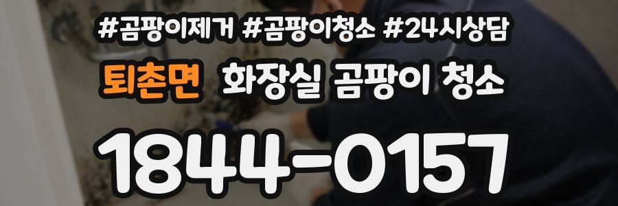 퇴촌면 화장실 곰팡이 청소