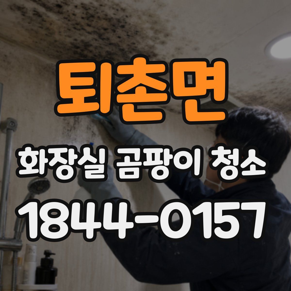 퇴촌면 화장실 곰팡이 청소
