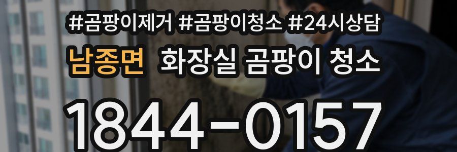 남종면 화장실 곰팡이 청소