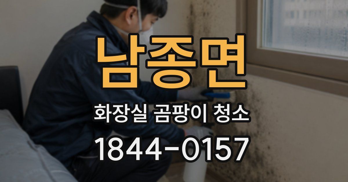 남종면 화장실 곰팡이 청소