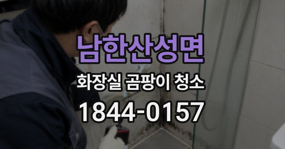 남한산성면 화장실 곰팡이 청소