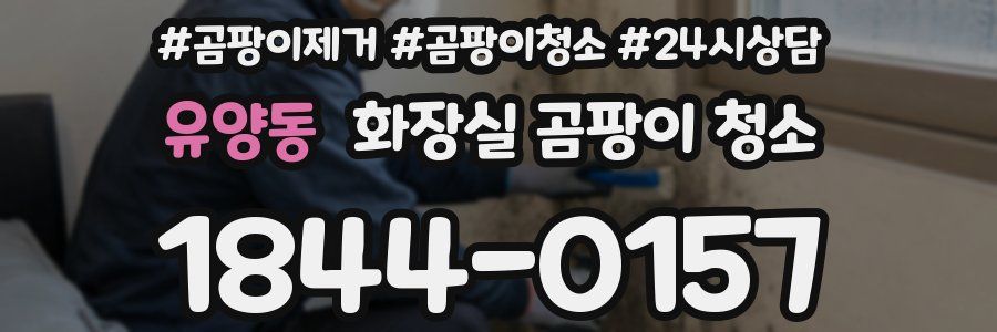 유양동 화장실 곰팡이 청소
