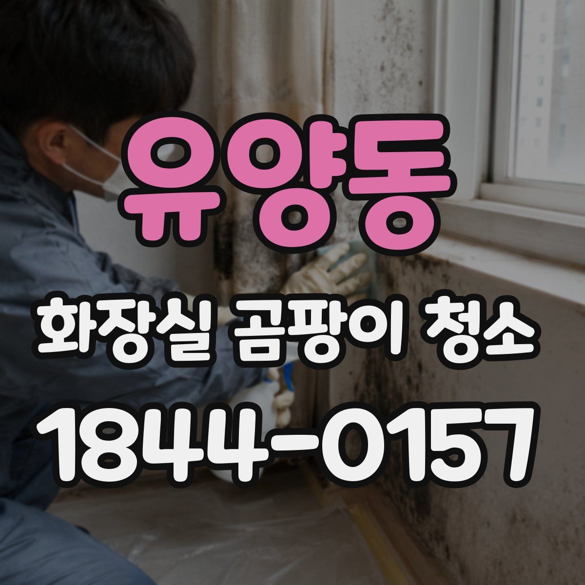 유양동 화장실 곰팡이 청소