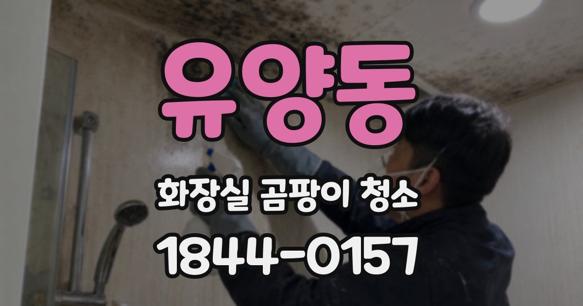 유양동 화장실 곰팡이 청소