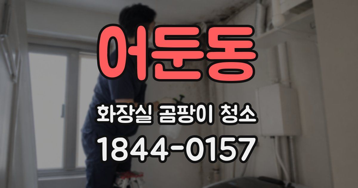 어둔동 화장실 곰팡이 청소