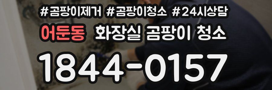 어둔동 화장실 곰팡이 청소